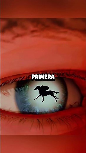 UNDERSTANDING HOW MOVIES ARE MADE 🎬✨