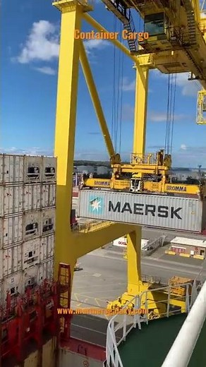 Sydney Container Terminal Cargo Operations, Container Ship At Botany Port Australia #shorts