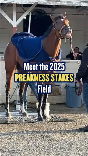 Meet the Field for the 2025 Preakness Stakes