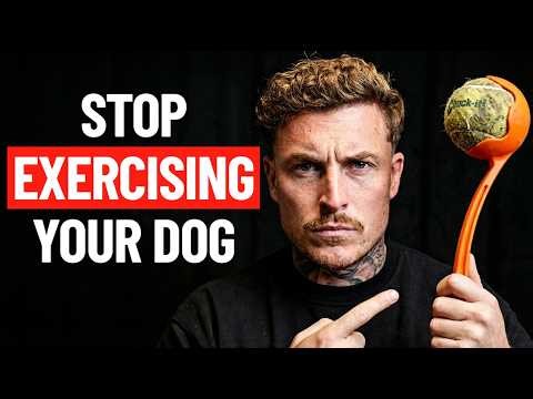 How To Tire Out Your Reactive Dog (Without The Stress)