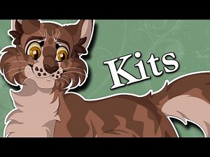 Medicine Cats SHOULD Have Kits | Warrior Cats