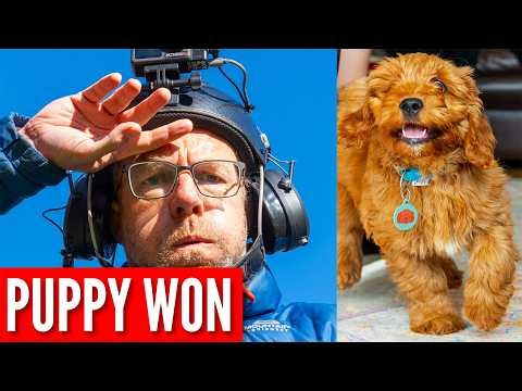 My New Puppy Stopped Me Flying