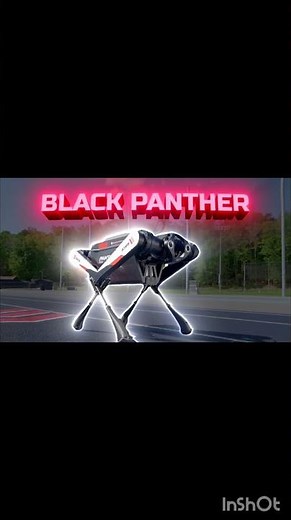 World’s Fastest Man Vs. Robot! (The Race for Humanity) Mrbeast ! Mr Nobody