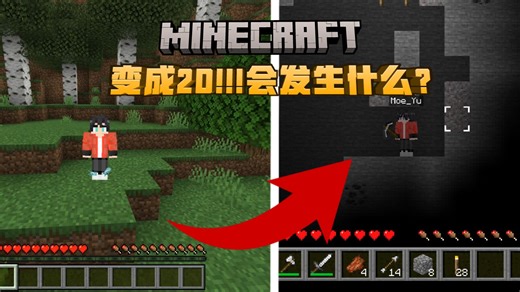 Bro被二向箔压扁了，MC2D版『生存挑战』通关末影龙