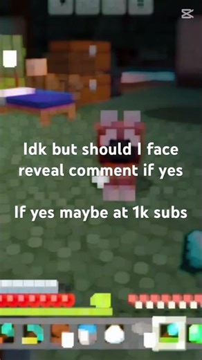 Maybe a face reveal at 1k subs