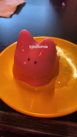 Entendiendo la Lobotomía: Conceptos y Efectos