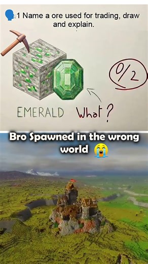 Bro failed the emerald exam 😂 #minecraft #minecraftmemes #shorts