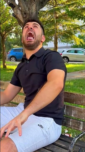 KOALA ATTACK 😂🐨