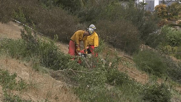 Oceanside Fire Department hires new team to clear brush