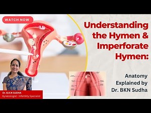 Understanding the Hymen & Imperforate Hymen: Anatomy Explained by Dr. BKN Sudha #fertility #female