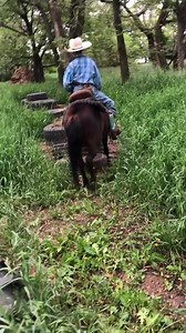 Yes the pony is small. Yes his saddle is a bit crooked on her. No he nor the pony are perfect. But, if you’d have seen what they went through to get to this point you may just think it’s pretty good! This pony was ornery. Took 4 days just to get her to face up and do the basics. Tried him 3-4 times. And now is a calm, respectful pony that will do almost anything he asks. This isn’t ours he’s starting her for a client. He has just over 2 weeks on her. She is a 5 yr old that was just sitting in a 