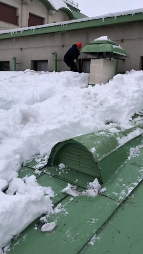 night_color_ (@night_color_)’s videos with оригинальный звук - night_color_