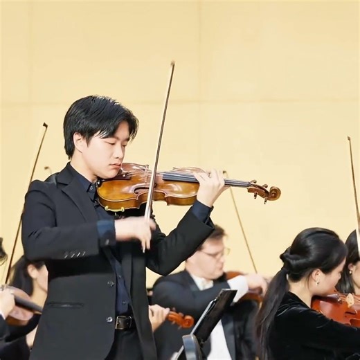 Elegant orchestral melody 🎼🎻