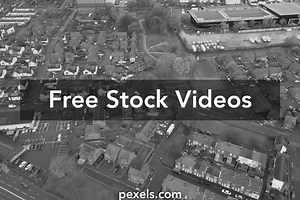 Tree View Videos, Download The BEST Free 4k Stock Video Footage & Tree View HD Video Clips