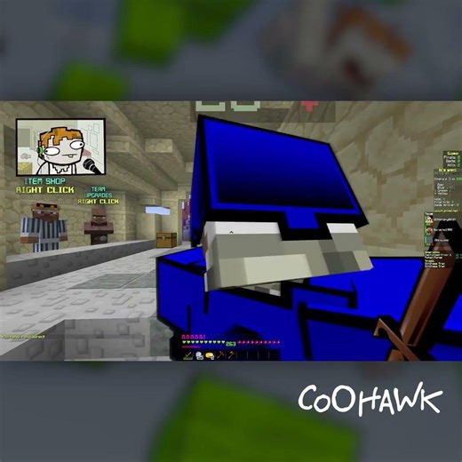 Bedwars Inviz Disaster