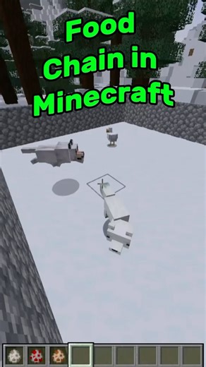 Food Chain in Minecraft 🔥🔥🔥