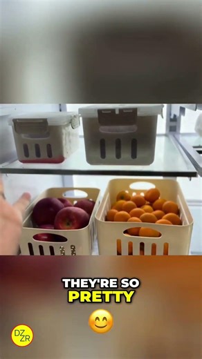 Cute Nostalgic Containers: Stylish & Functional Food Storage for a Cozy Kitchen