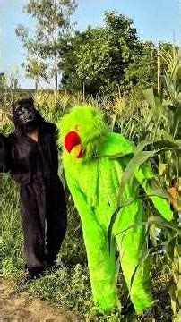 Building Wooden Log Cabin in Forest 👽🌲| Survival House Step by Step” part-19