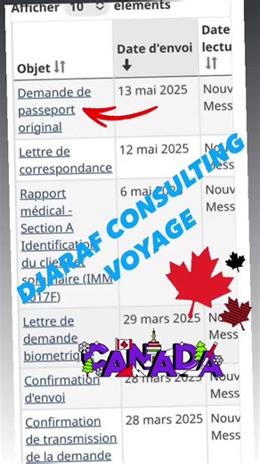 Demande de visa Canada validée avec succès ! 🍁