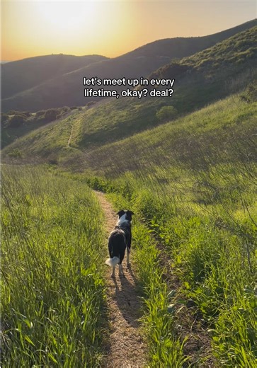 My Best Friend: A Heartfelt Dog Bonding Moment