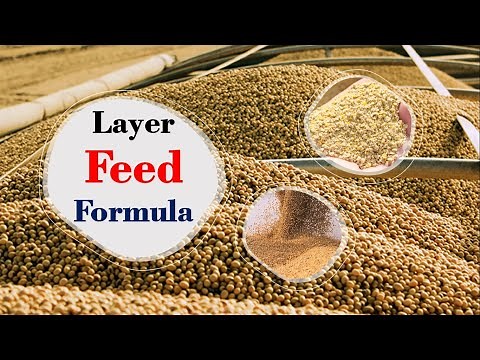 Layer feed formula | Poultry Feed Formulation | How to make Poultry Feed