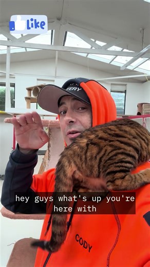 Hey Guys - What’s up - Your here with - The CodeMan 😎