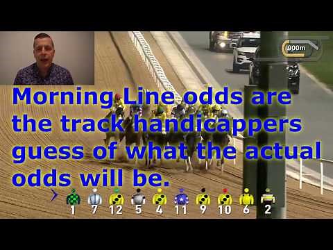 How are odds calculated in horse racing? Who sets the odds? (Tip #4)
