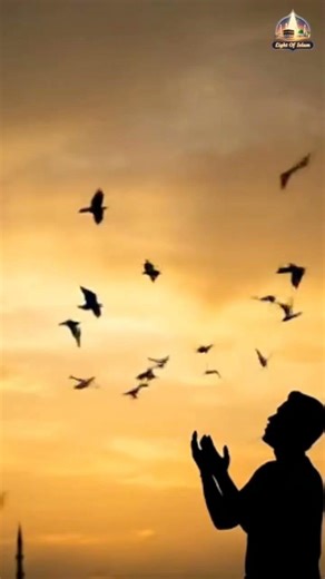 #Salam ya mahdi