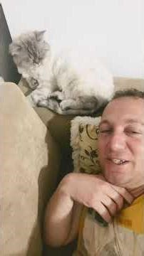 🇮🇷uyruklu🐈kediçiğimle gene🍭şekerlememizi yapıyoruz #youtubeshorts #viral #trending #ytshorts #le