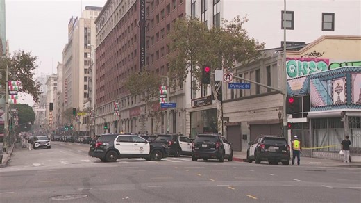2 in custody after standoff in downtown L.A. that warranted massive police, SWAT response