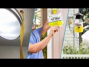 Fly Trap: What is Top 10 Best Fly Trap All About?