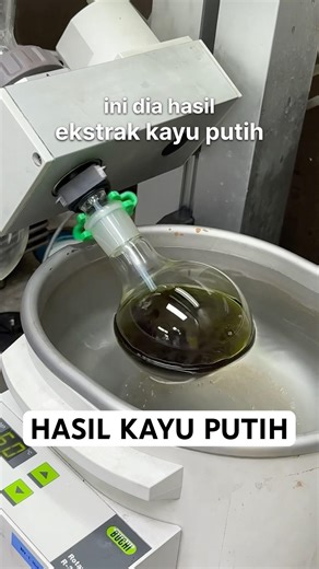 Eucalyptus extract results.. Try using it next? 🍃 #foodtech #eucalyptus #experiment #science