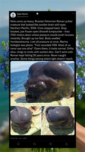 "Is This Deep Sea Fish a Brain... or a Fish? 😱🧠🐟 #WeirdCreatures #DeepSea #FishFacts"