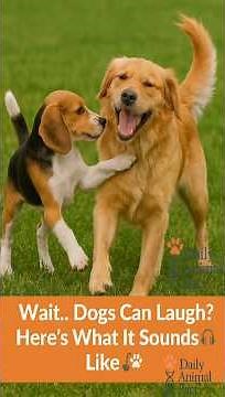 Wait... Dogs Can Laugh? Here's What It Sounds Like 🎧🐾