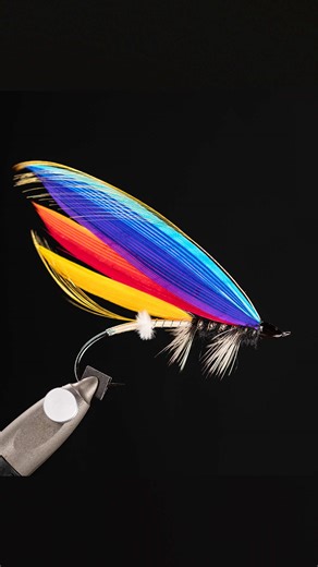 I mean, there’s something to be said for persistence, right? Right?? 😅 I was back at it again this week with a freestyle salmon fly I’m calling Etude No. 2. This was a study for me on married wings (I’ve tried them only once before) and I am completely enamored with the process! I was really happy with the look of the Whiting Farms rooster hackle once palmered - it’s dark center blended beautifully into a spiral of @Fulling_Mill CDC dubbing - one of my favorite dubbings I’ve tried to date! Perf