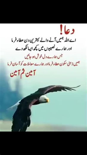 Gushi ki Mama 💙 (@gushi816)’s videos with original sound - Gushi ki Mama 💙