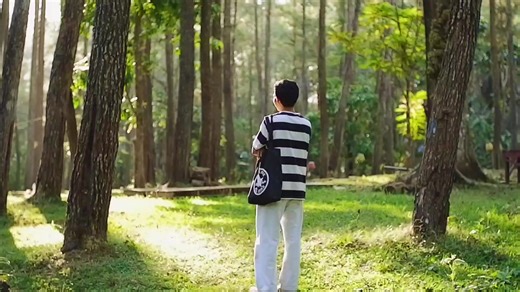 Minggu sore di hutan pinus samparona 📍 #hutanpinussamparonabaubau #fujifilmxa3 #cinematicvideo