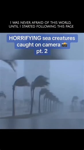 WildBlue_Earth on Instagram: "👁️‍🗨️ HORRIFYING Sea Creatures Caught on Camera 😨🌊 The ocean hides monsters we’re not meant to see. From the abyss, they rise — strange, terrifying, and all too real. ⚠️ Creatures with alien-like bodies 🦑 Tentacles that vanish into darkness 🐠 Teeth built to shred, not chew 💀 Proof that the ocean is still Earth’s final frontier Every country hides its own ocean nightmares. The question is… which one should we uncover next? 🌍 💬 Drop your vote: What country’s 
