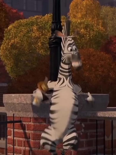 Madagascar Marty - The Zebra Who Stole Hearts