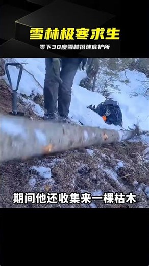 挑戰雪地森林徒手造庇護所，極寒環境下極限露營過夜 #荒野建造，野外生存，雪地露营，庇护所，极寒挑战