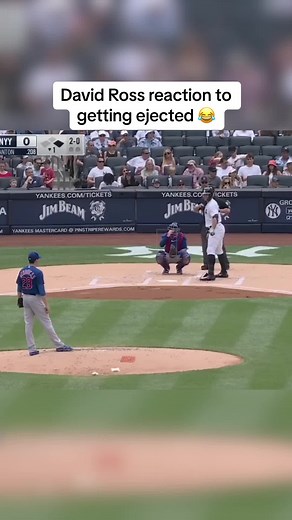 David Ross Ejected Before All-Star Break Reaction