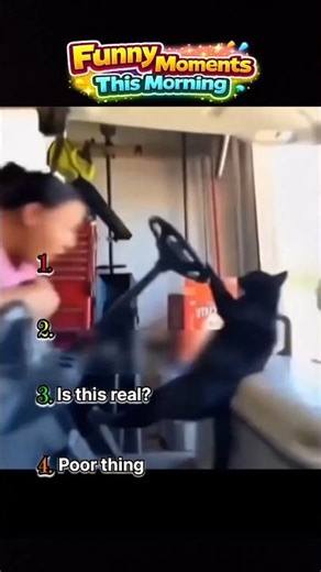 Is this real? #shorts