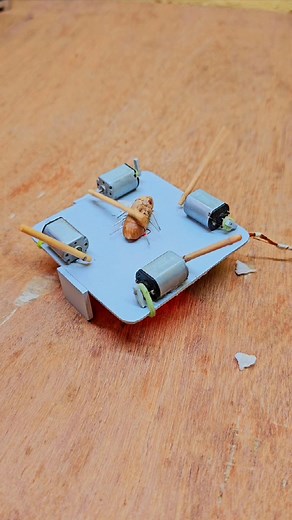 Viral bug trap ! DC motor bug trap ! Cockroach trap #entertainment #viral #bugs #trap | Science & Engineering