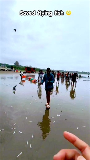 Nice Fish — short viral clip of fish (TikTok Bangladesh)