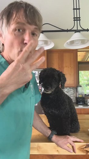 83K views · 3K reactions | 3 lesser known Human Foods that are great...