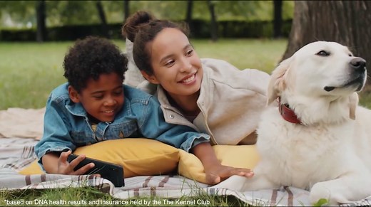 The Kennel Club offers DNA tests for your dog so can check their health