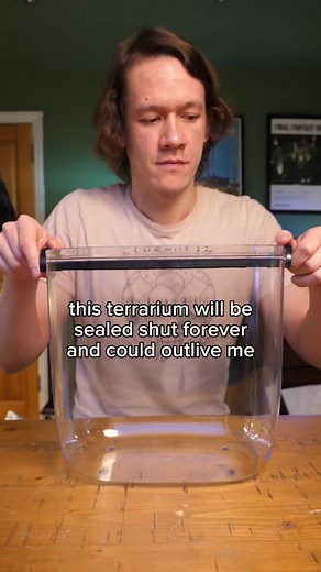 This terrarium will outlive me | Worcester Terrariums