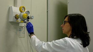 Setting a Successful Sorting for Extracellular Vesicle Isolation