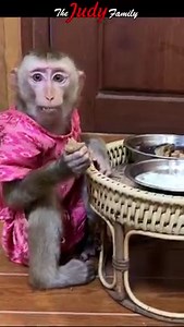 Dinner Of The Rich Man Flloyd Mom Well Prepared Abundantly | The Judy Family