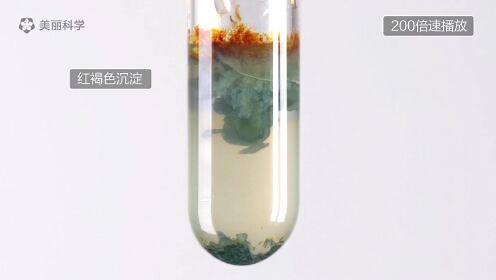 化学-氢氧化铁和氢氧化亚铁的生成